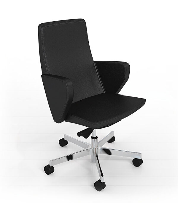 d-1 08 Designer Besucher-Sessel in Leder, niedrige Rückenlehne mit Armlehnen