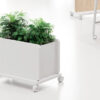 SHARE_20 Büro Pflanzkasten mit Rollen, mobiler Blumentopf, schmaler Raumteiler, Plantbox Dekor Weiß